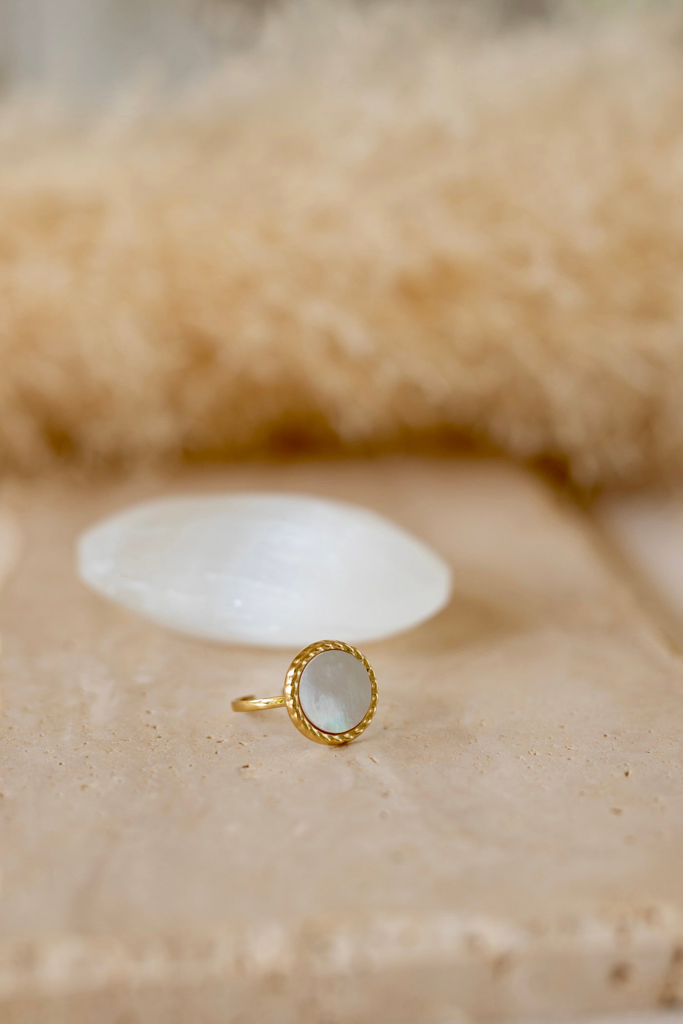 Bague en acier inoxydable et nacre