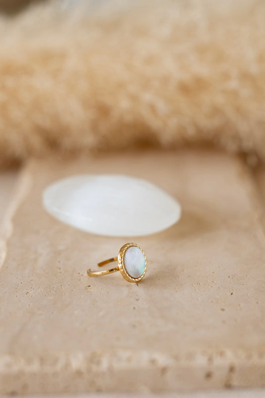Bague en acier inoxydable et nacre